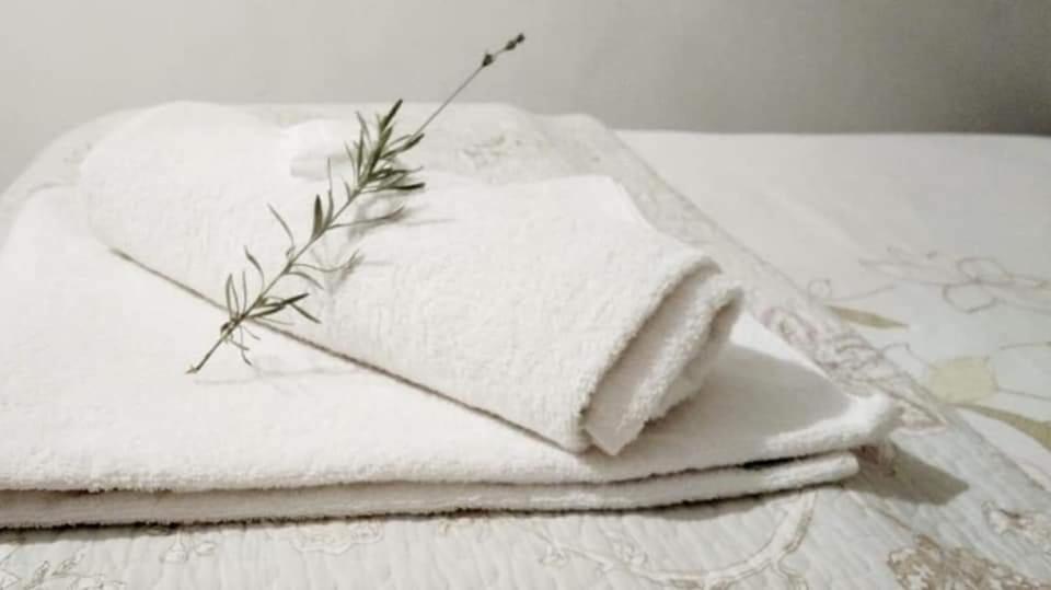 Aandrus Guesthouse Bloemfontein Ngoại thất bức ảnh