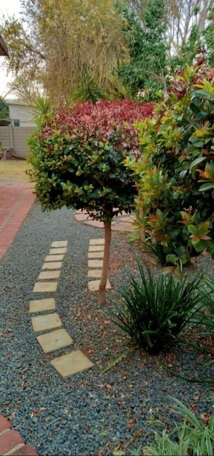 Aandrus Guesthouse Bloemfontein Ngoại thất bức ảnh